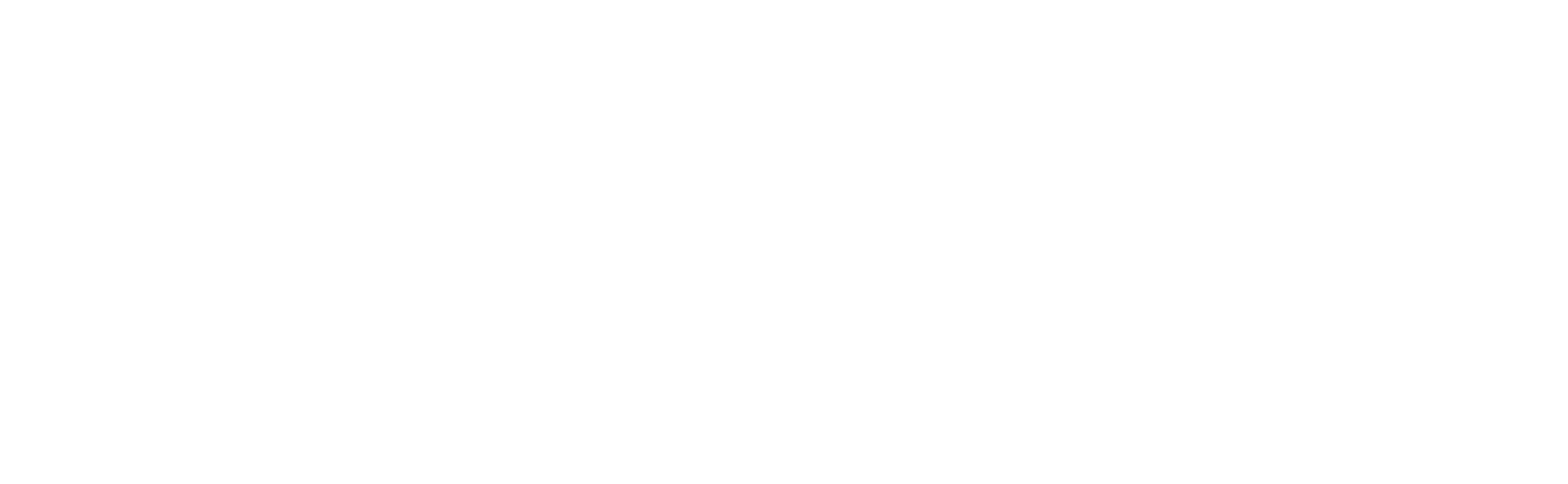 ADNSU Logo